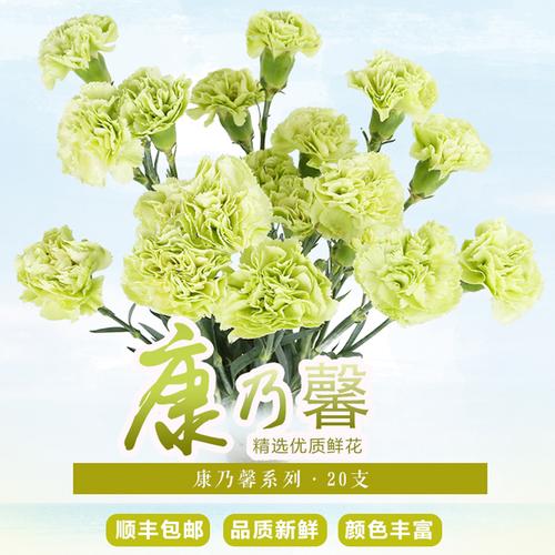 康奶昔 鲜花