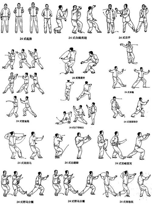 体育总局推出了24式简化太极拳,这是我国官方首次编审完成的武术套路