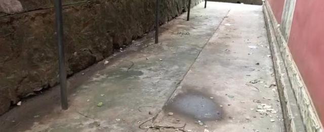 安徽女大学生坠楼身亡:女生坠楼的地方已经被清理,留下一片水渍
