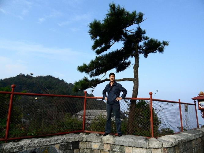 泰山顶上一青松