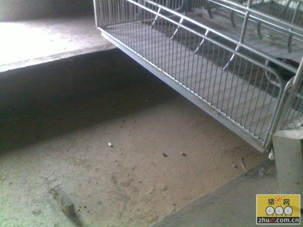 46 编辑   这是我们施工安装的产房设备,一家采用水泡粪(6000头母猪