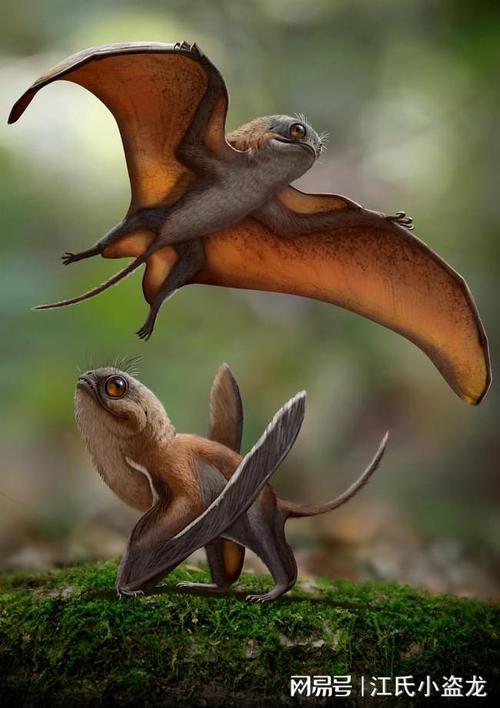 盘点2021年新种翼龙大盘点