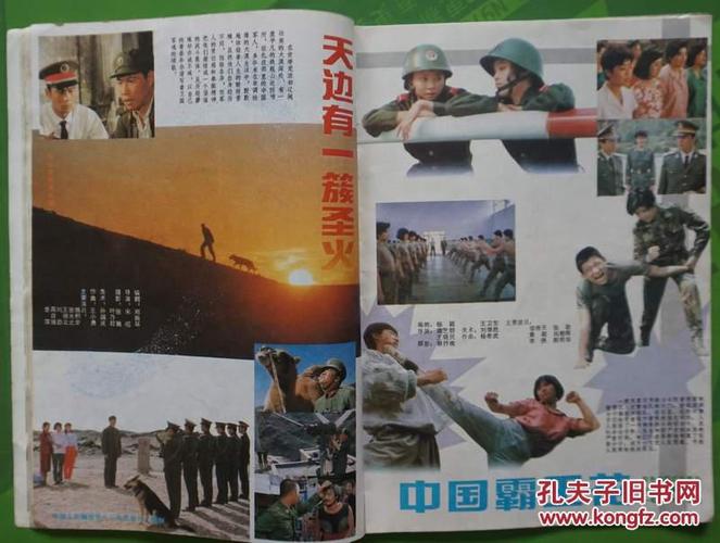 内有陈宝国 段岫 菲比·凯茨 王祖贤 叶蕴仪 《中国霸王花》剧照等