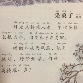 【宋词】464,《采桑子·时光只解催人老》晏殊