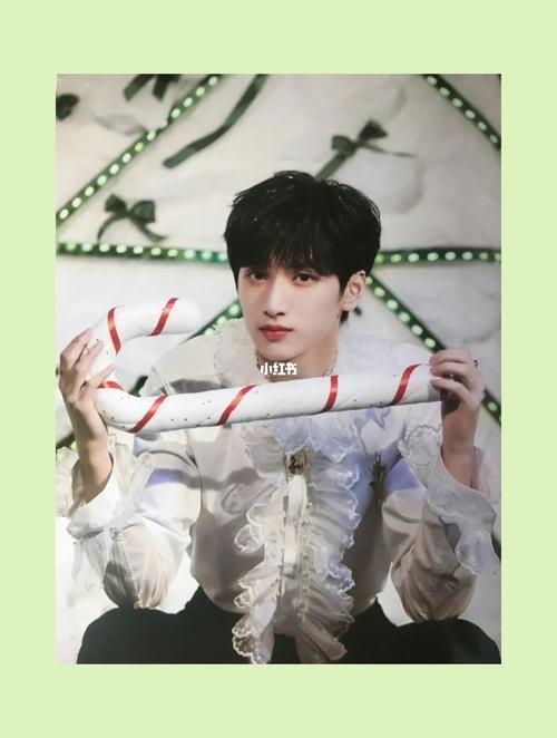 有盐汽水吗?_圣诞风_严浩翔_娱乐_明星娱乐资讯