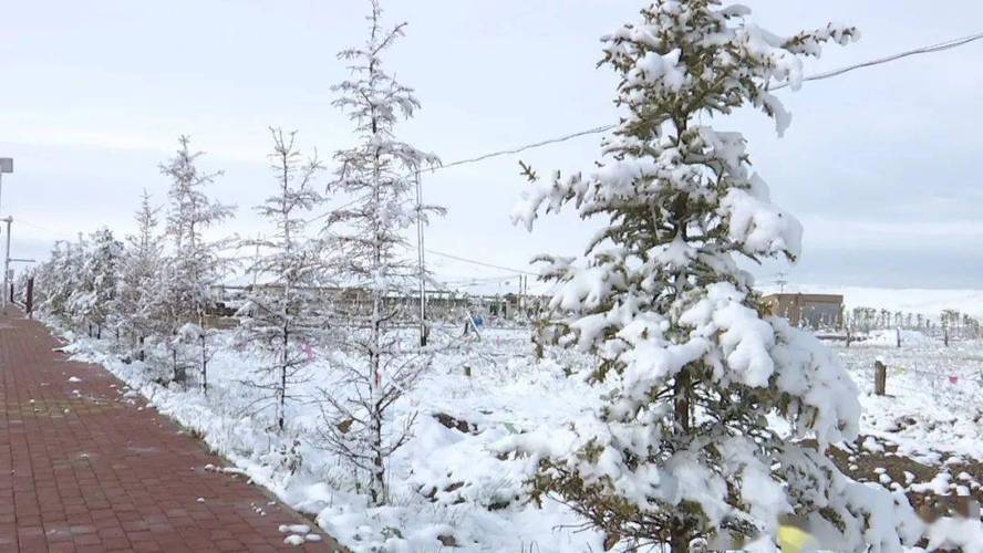 甘肃下雪了!霜冻 中雪 大风已在路上!