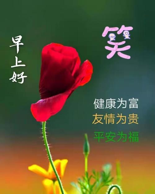 珍惜这份友情,诚祝我们健康,平安,快乐!早安!