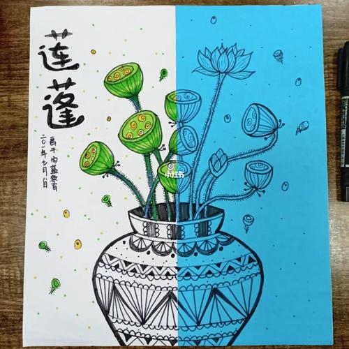 莲蓬_儿童画_线描_创意美术_创意美术儿童画_文化_绘画