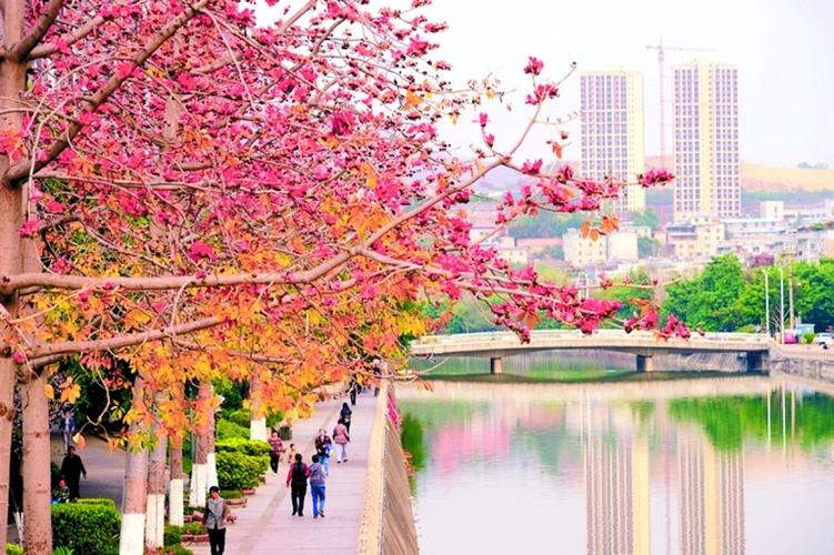 四川在线首页 攀枝花频道 仁和区 > 正文    碧波清流穿城过,两岸美景
