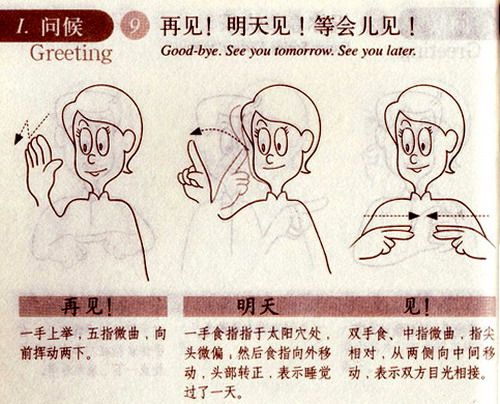 再见!明天见!等会儿见!