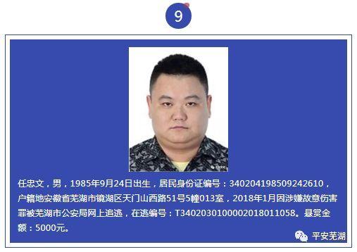 小有子钱二孬子海宝和毛龙警察蜀黍这条通告我可以笑一天