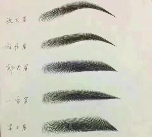 不同脸型适合的眉形你了解吗?别再画烂大街的韩式平眉