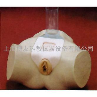 膀胱穿刺术练习模型,高级女性膀胱穿刺模型,膀胱穿刺训练模型