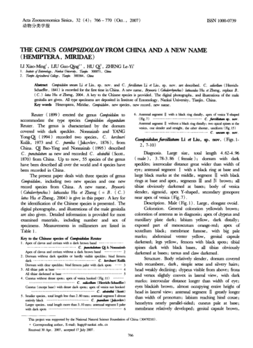 中国点翅盲蝽属及新名记述(半翅目,盲蝽科)