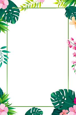 夏天春天植物边框