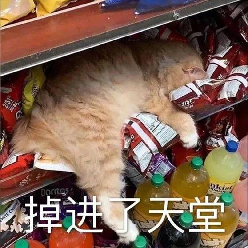 我要去拯救世界了!_表情