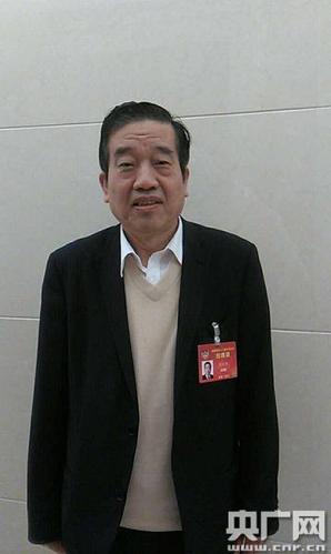 全国政协常委,中国书协主席苏士澍(央广网记者 孙莹 摄)