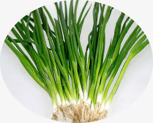 新鲜小葱嫩绿食品免抠素材免费下载_觅元素51yuansu.com