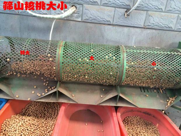 【天天特价】16年新货临安山核桃仁小核桃肉小包装500g包邮零食