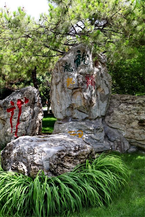 龙潭湖公园的龙字石林,各种字体的"龙"字