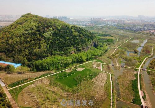 五山森林公园军山片区绿意盎然