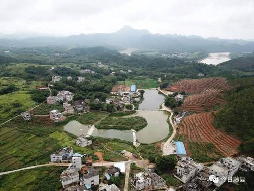 金鸡镇交口村打铁咀 "村企合作"模式.