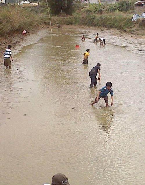 农村鱼塘抓鱼,众人围观浑身是泥欢乐多!