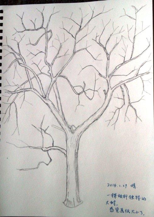 树图片手绘素描(2)