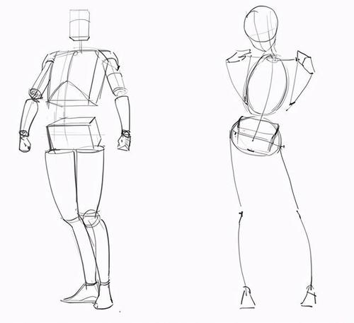 绘画初学者应该怎么画好人体?先从人物体块开始学起!什么是体块