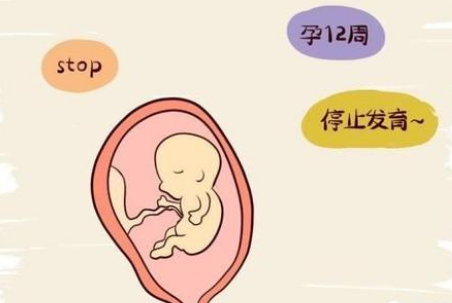 这几个信号,预示着胎停的发生,别