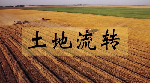 资深地理教师,扬杨教育创始人 目前我国农村土地流转的形式大体上