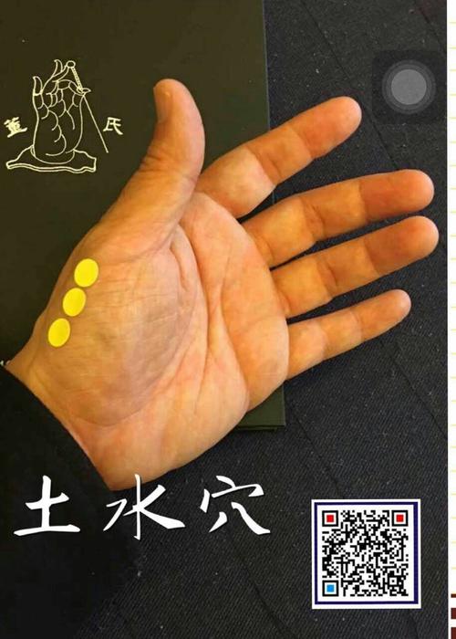 林正泰董氏针灸课堂【土水穴】