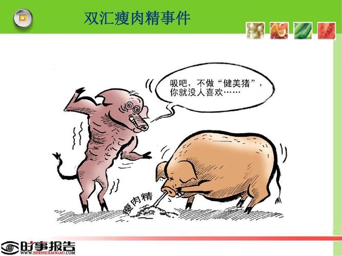 双汇瘦肉精事件