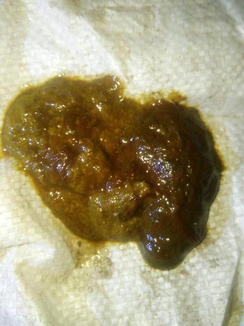 狗狗的大便像图片上的样子