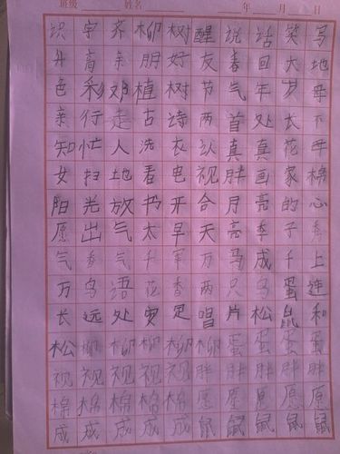 王晶晶看我默写的字