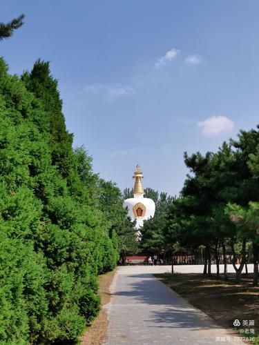 180 沈阳北塔公园