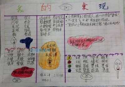 关于我的新发现手抄报 我的手抄报