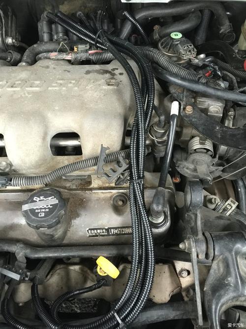 发动机缸线被黄鼠狼肯_gl8论坛_xcar 爱卡汽车俱乐部