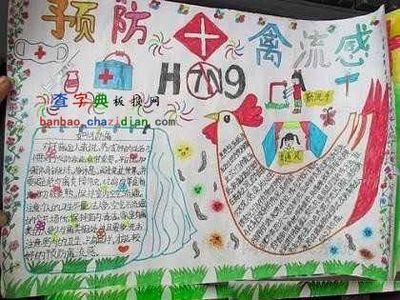 h7n9禽流惑手抄报 预防禽流感手抄报