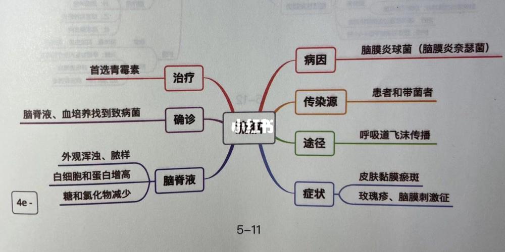 今日分享传染病思维导图_护考_教育_职业培训