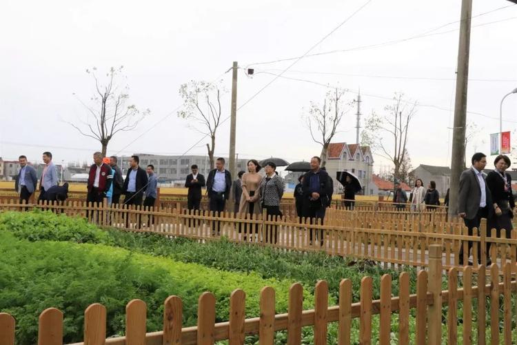 【要闻】因地制宜,踏踏实实,全力推进——书院镇召开"美丽庭院"建设