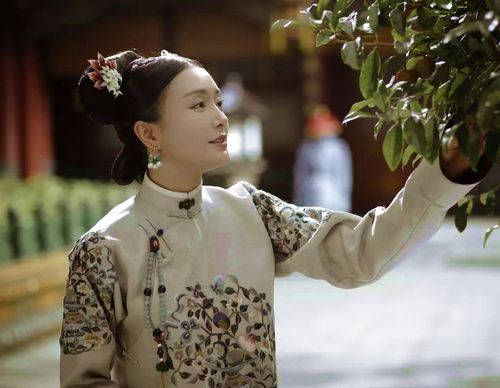 延禧攻略.富察容音/富察皇后.秦岚