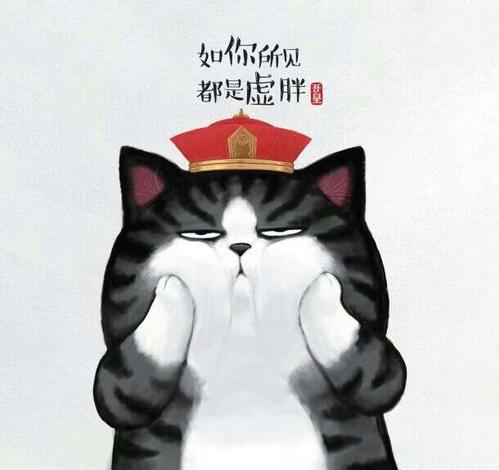 人气萌猫"吾皇"来深签售