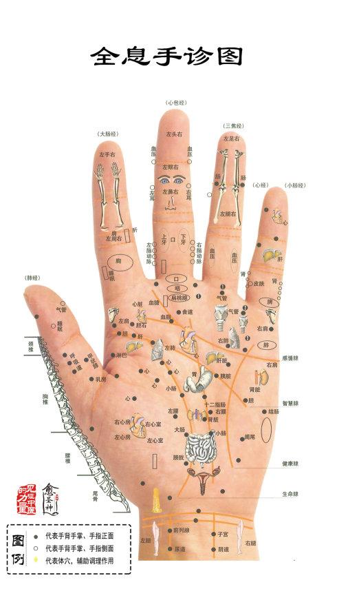 原文地址:全息手诊图(高清版)  值得收藏       娑查拡