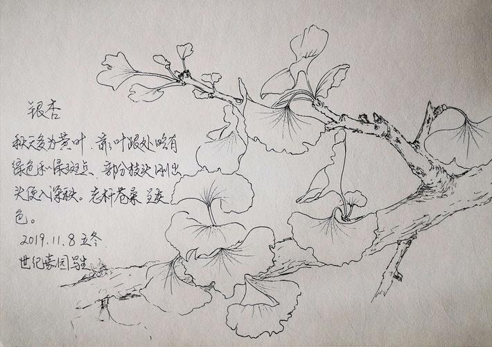 李新捷百花写生集(一)