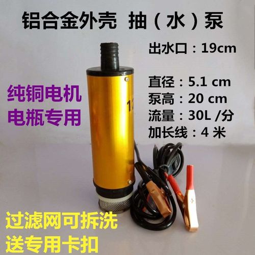 电动小型12v24v220直流加油机抽水泵油泵