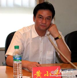 (新干县人民政府县长助理)