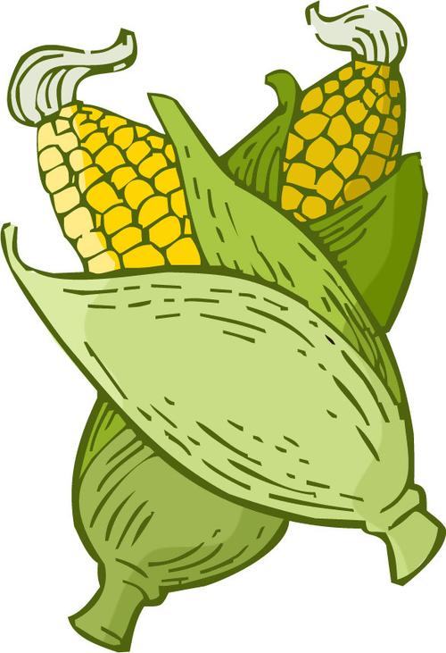 印花矢量图 卡通植物 蔬菜 玉米 色彩 免费素材