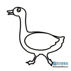 一笔画鸭子