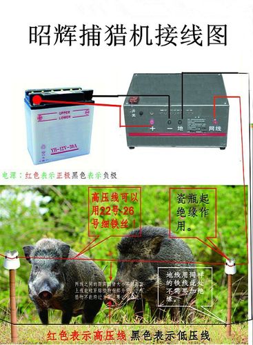 野猪捕猎机捕猎王zh-80型